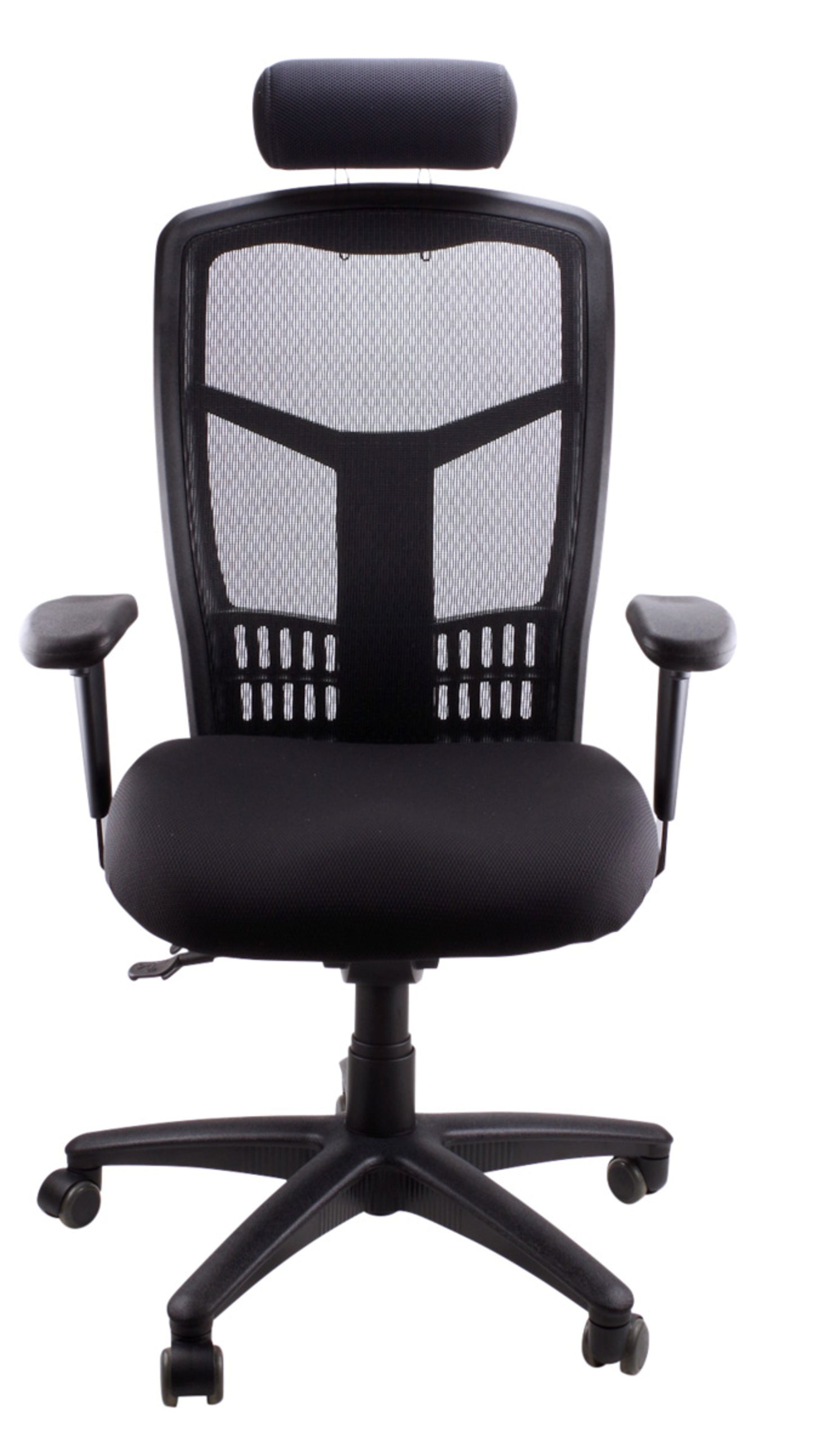 Mesh Deluxe Ergonomic Executive Chair