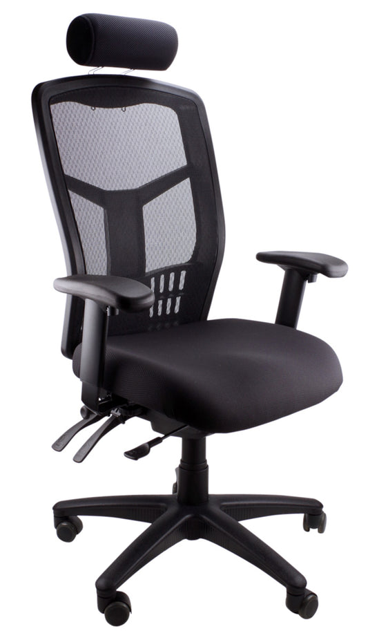 Mesh Deluxe Ergonomic Executive Chair
