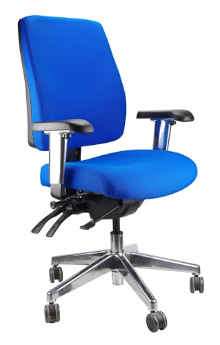Buy quality Ergoform Ergonomic Office Desk Chair now with FREE SHIPPING blue with polished base and armrests
