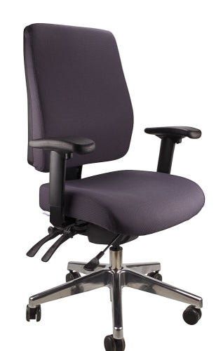 Buy quality Ergoform Ergonomic Office Desk Chair now with FREE SHIPPING charcoal with polished base and armrests