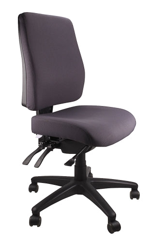 Buy quality Ergoform Ergonomic Office Desk Chair now with FREE SHIPPING charcoal with black base