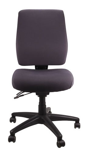 Buy quality Ergoform Ergonomic Office Desk Chair now with FREE SHIPPING charcoal with black base