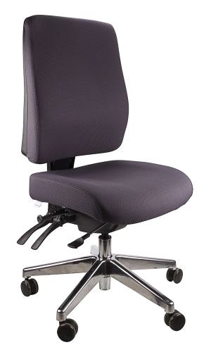 Buy quality Ergoform Ergonomic Office Desk Chair now with FREE SHIPPING charcoal with polished base